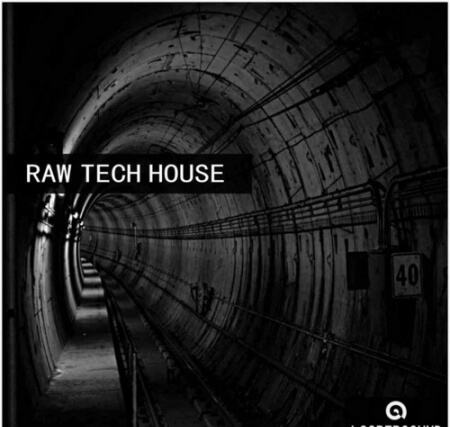 Loopersound Raw Tech House WAV